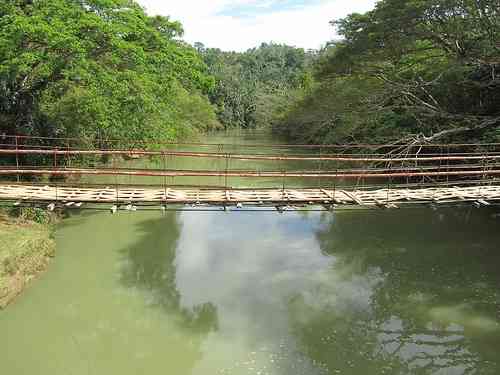 hanging bridge bohol