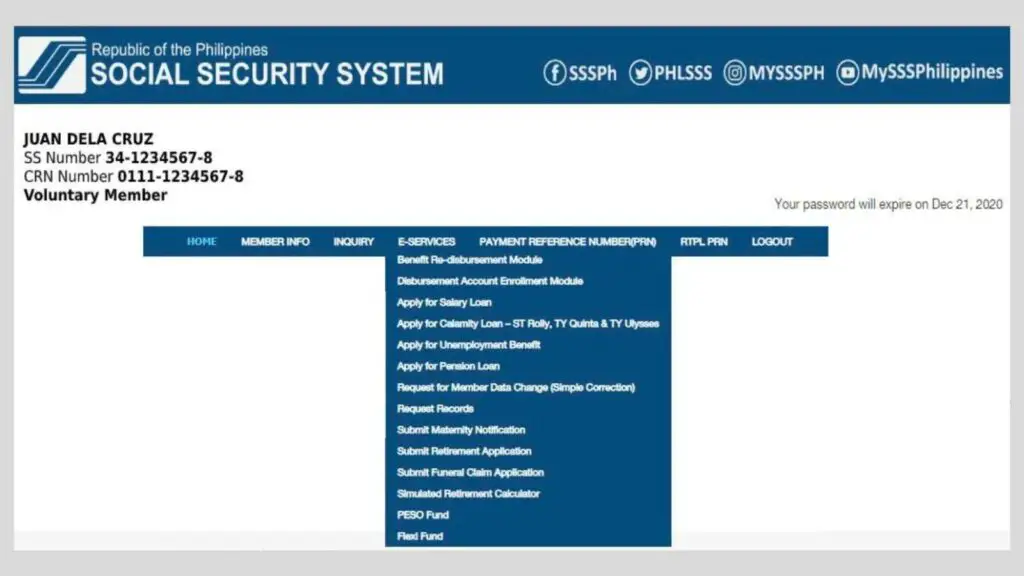 How to View and Check SSS Contributions Online