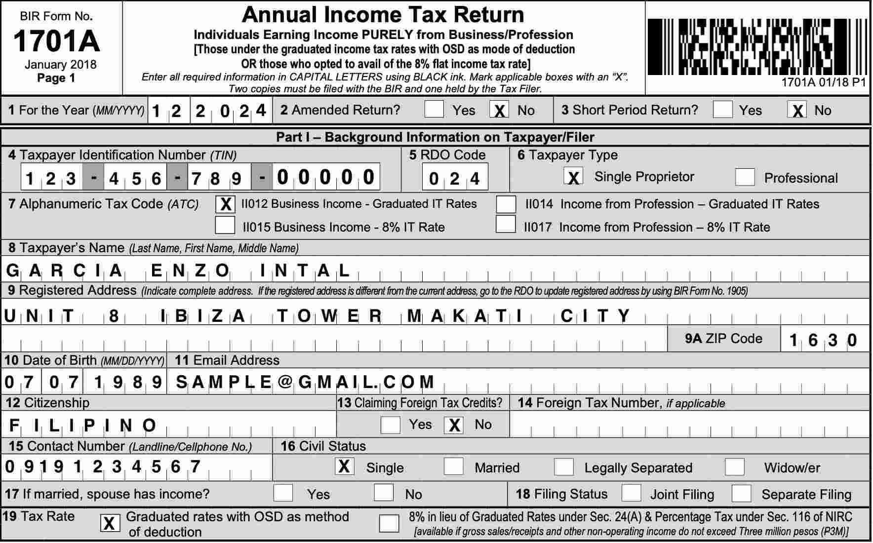 how to file BIR form 1701a for self employed individual taxpayer 2024