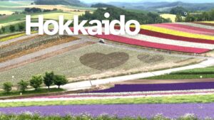 hokkaido travel guide with 7 days summer itinerary