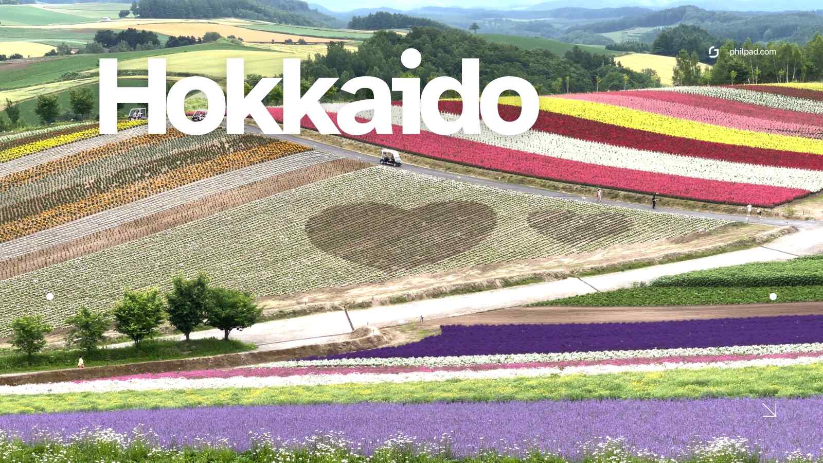 hokkaido travel guide with 7 days summer itinerary